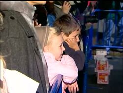 Elephants eat matzos for passover News Clip