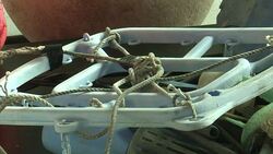 CLEAN : Dutch inventor harnessing waves to clean up the seas News Clip