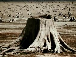 Wasteland Stock Footage