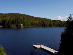 Summer landscape Stock Footage