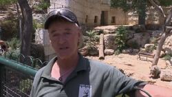 Ice blocks and popsicles keep sweltering zoo animals cool News Clip