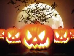 Halloween Pumpkins and Bats HD Stock Footage