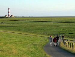 WS View of people walking through green field are towards Westerhever lighthouse, North Frisian Wadden Sea / Westerhever, Schleswig Holstein, Germany Stock Footage