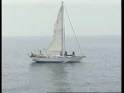 USA: BLUE WHALE POPULATION RECOVERS OFF COAST OF CALIFORNIA News Clip