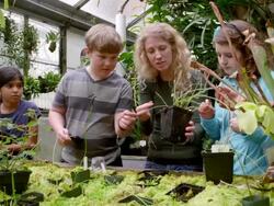 MS female botanists explaining plant structure to group of young students in research greenhouse. Stock Footage