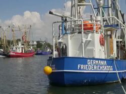 MS Shot of fishing cutter boats on harbor, North Sea, North Frisia / Busum, Schleswig Holstein, Germany Stock Footage