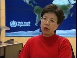 WHO and FAO officials comment ahead of bird flu summit News Clip