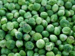 MS PAN brussels sprouts at market / Brooklyn,New York,United States Stock Footage