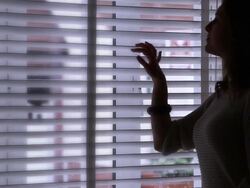 Looking through a window blind. Stock Footage