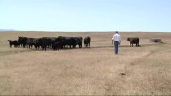 Rural residents campaign to split from California and create a 51st state: the State of Jefferson. Two more counties are voting on ballot measures to voice support for the independence movement. But opponents say secession is a bad idea. (June 2) News Clip