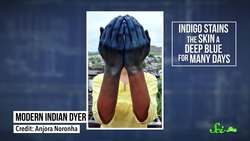 Why is Indigo in the Rainbow? Instructional Video