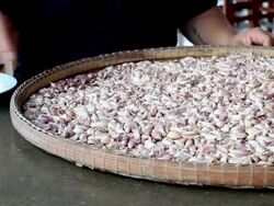 Garlic Stock Footage