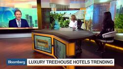 Ever Dream of Sleeping in a Luxury Treehouse? News Clip