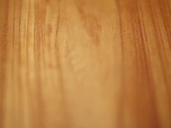 ECU Shot of Tree Ring / Seoul, South Korea Stock Footage
