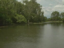 Edge of Yellow Water Billabong, Jim Jim Creek, Kakadu wetlands, NT, Australia Stock Footage