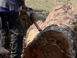 The sawing Stock Footage