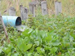 side view water transportation tube Stock Footage