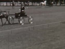 Horse Carriage 1930's Stock Footage