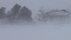 Blizzard, Snow Storm, Blowing Snow - Plymouth, Massachusetts Stock Footage