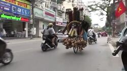 CLEAN : Vietnam's chicken feather cleaners face stiff competition News Clip