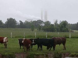 New EPA Regulation To Cut Emissions From Coal-Fired Plants In US Stock Footage