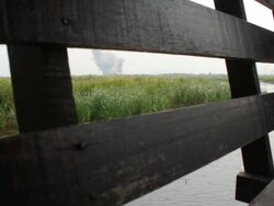 Bench and landscape Stock Footage