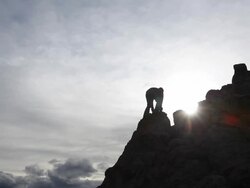 Active male Stock Footage