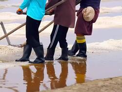 salt collecting in farm Stock Footage
