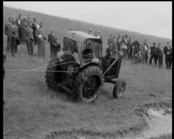 RISKY ""ROCK AND ROLL"" News Clip