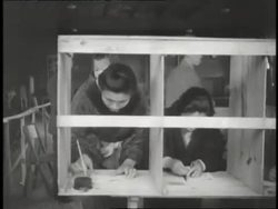 Asian women stand in a long line to fill out forms and place ballots in boxes during an election in Japan. News Clip