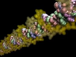 DNA Molecule Model - HD1080 Stock Footage
