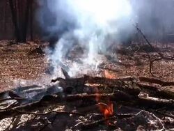 Oklahoma Campfire Stock Footage