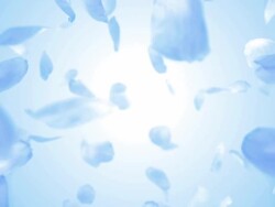 Flying Rose Petals (Loopable) Stock Footage