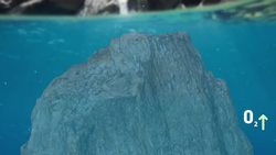 From the Cambrian Explosion to the Great Dying Instructional Video