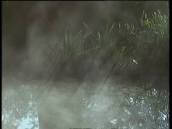 MS mist rises above river and grass, England, UK Stock Footage