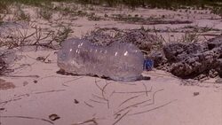 Micro Plastic Pollution on Bermuda Beach News Clip