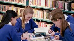 Classmates studying in school library Stock Footage