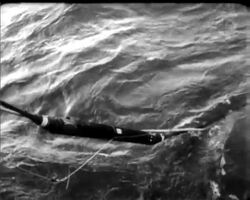 ""COMPAC"" LINKS COMMONWEALTH News Clip