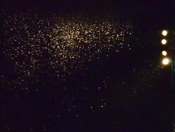 Bubble In The Air With Neon Light Stock Footage