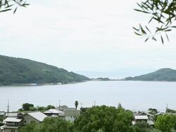 View of Shodo island.There are some white private house and green trees Stock Footage