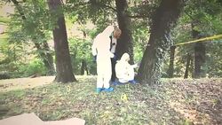 Crime Scene Investigation Stock Footage