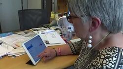 CLEAN : Leave or stay? Two UK MEPs share their views at EU parliament News Clip