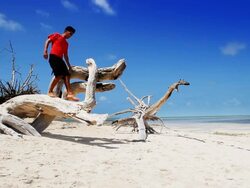 MS LA Shot of Boy walking at white beach / Cairns, Quensland, Australia Stock Footage