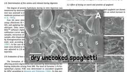 Concrete Does Not Dry Out Instructional Video