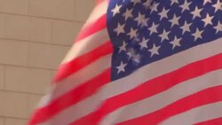 Waving American Flags - Stock video Stock Footage