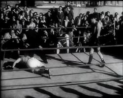 THE NOBLE SCIENCE OF BOXING News Clip