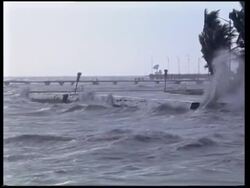 Preparations for Hurricane Wilma News Clip