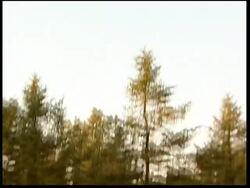 South Korea ends troop deployment to Afghanistan News Clip