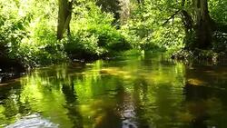 stream, brook, flow, torrent, river Stock Footage