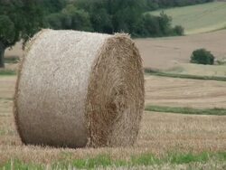 MS Bale of straw on grass field / Serrig, Rhineland-Palatinate, Germany Stock Footage